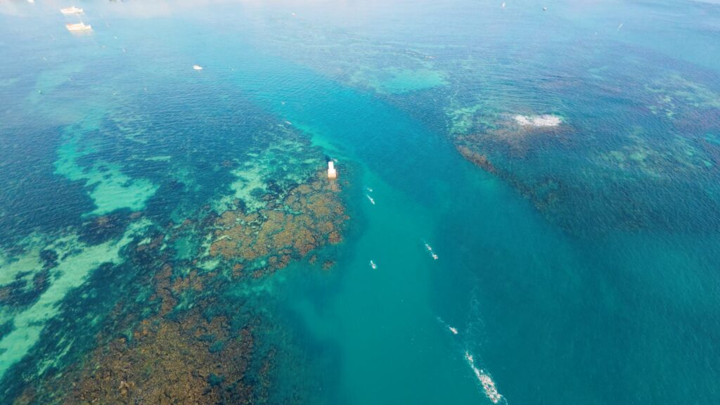 1ª Semana Oceânica da Bahia começa na segunda-feira com atividades em Salvador, Ilha de Maré, Mar Grande e Itaparica
