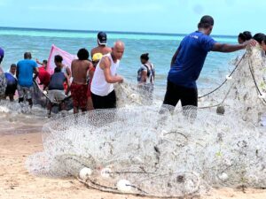 Mulheres da pesca de calão seguem fazendo história em Tairu, na praia e em Brasília