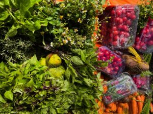 Salvador sedia edição inédita do ENPEGASTRO com foco na diversidade das gastronomias brasileiras