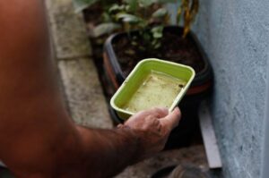 Bahia registra queda de 41% nos casos de dengue em 2026