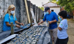 Projeto Mares inicia produção de sementeiras para cultivo de corais