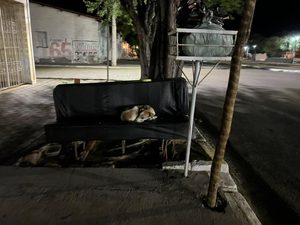 O abandono quase invisível presente nas ruas de Riachão do Jacuípe